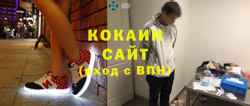 MEGA как войти  наркотики  Курчатов  Cocaine Боливия 